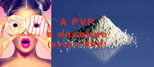 ПСИЛОЦИБИНОВЫЕ ГРИБЫ Нея