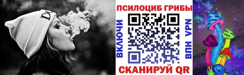 Галлюциногенные грибы мицелий  Купить где  Александровск 